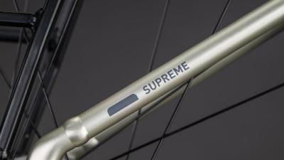 Cube Supreme RT Hybrid Comfort EXC 600 champagne'n'grey Größe: Easy Entry 50 cm Produktbild 4