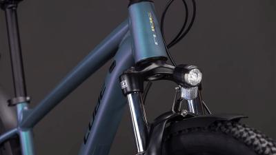 Cube Aim Pro FE smaragdgrey'n'prism Größe: L Produktbild 4